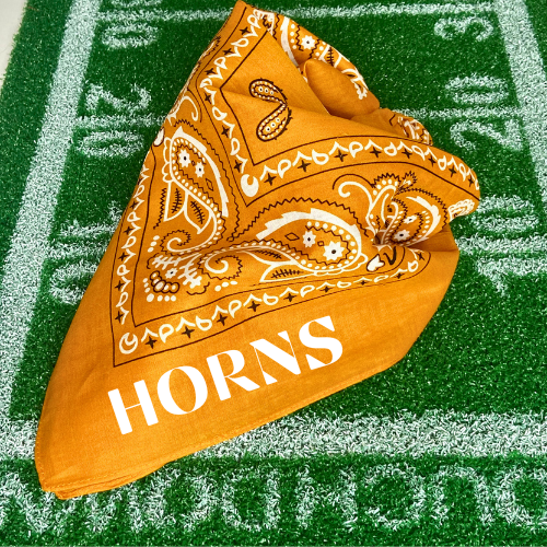 Texas Bandana