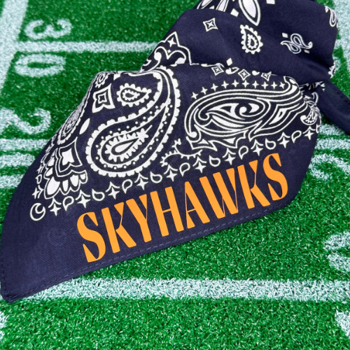 UT - Martin Bandana