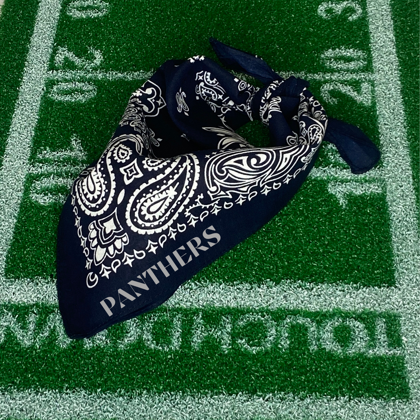 Panthers Bandana