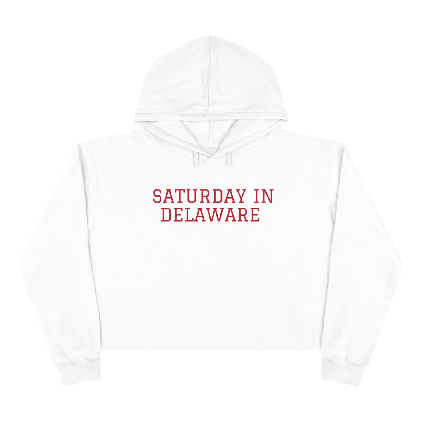 Ohio Wesleyan Crop Hoodie